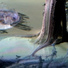 Waterballet