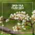 Simon Fava, Yvvan Back