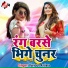 Bipin Bihari