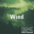 BGM channel