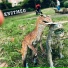 Dogmatic Ways Of Announcement