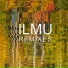 ILMU