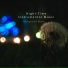 Night-Time Instrumental Music