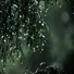 Sleep Tight, Loopable Rain, Deep Sleep Systems