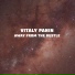 Vitaly Panin