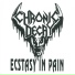 Chronic Decay