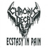 Chronic Decay