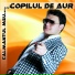 Sorin Copilul De Aur feat. Bogdan Artistu'