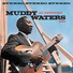 Muddy Waters