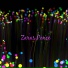 Zaras Ponce