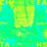 Cheatahs