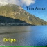 Tilia Amur
