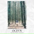 OCEVN