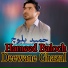 Hameed Baloch