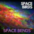 Spacebirds