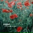 Rojor