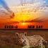 EVER-G