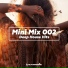 Armin van Buuren, Garibay feat. Olaf Blackwood