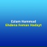 Eslam Hammad