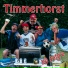 Timmerhorst