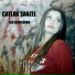 Çatlak Şanzel