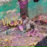 Slva