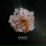 Kanchi