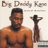 Big Daddy Kane feat. Barry White