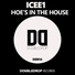 ICEE1