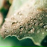 Rainforest, Winds and Oceans, Study Zone