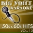 Big Voice Karaoke