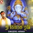 Arnav