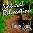 Nature Sound Series