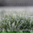 Rain Sounds