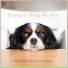 Sleepy Dog Music