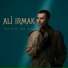 Ali Irmak