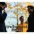 Treibsound