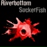 Riverbottom Suckerfish
