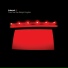 Interpol