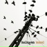 Halogen