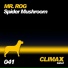 Mr. Rog