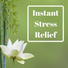 Kurt Oasis
