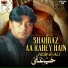 Hub E Ali