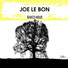 Joe Le Bon