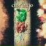 Doringo
