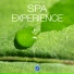 Pure Relaxing Spa Music