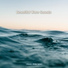 J.Roomy (White Noise)