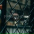 Milash