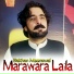 Bakhan Meenawal