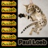 Paul Loeb